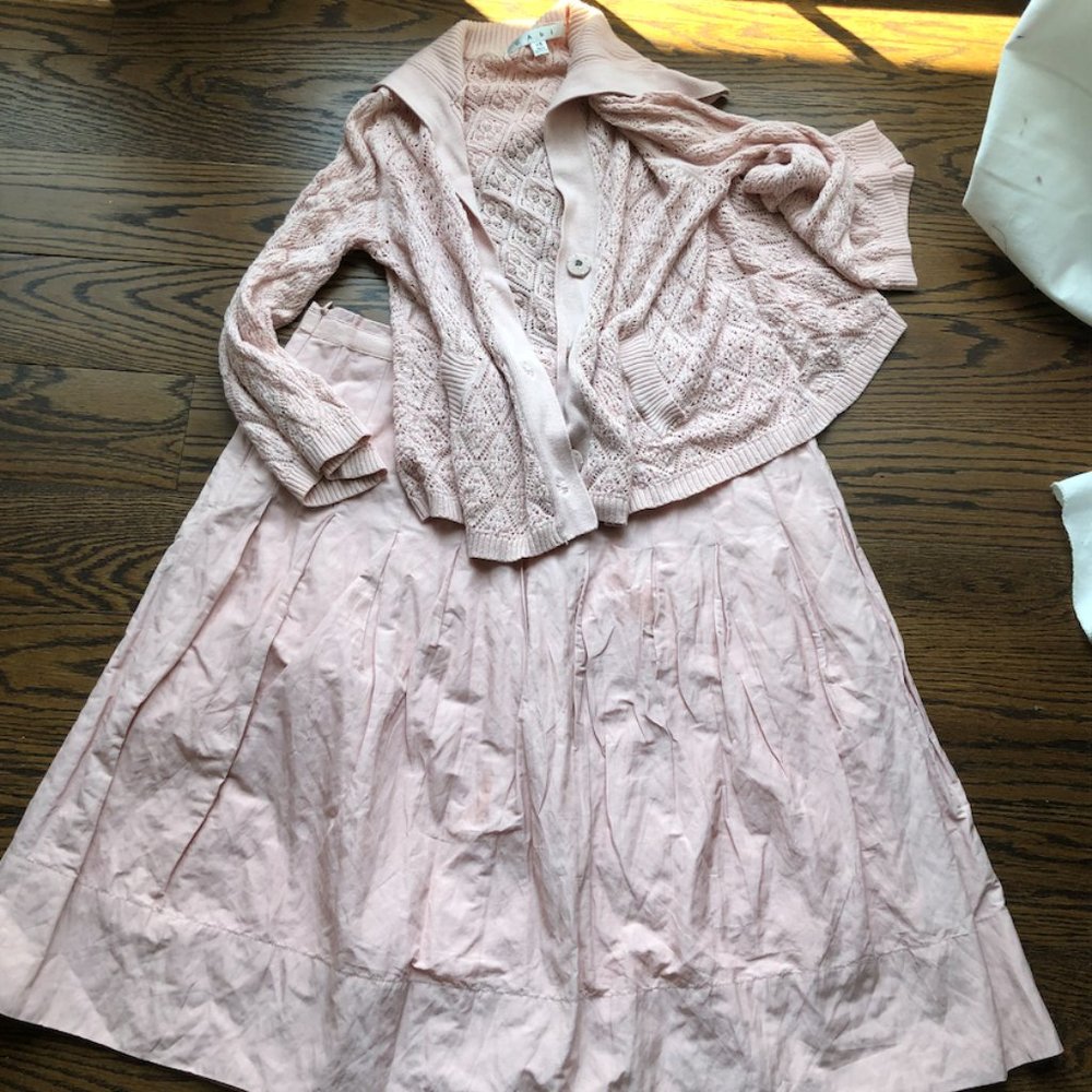 CAbi Skirt and Sweater Set